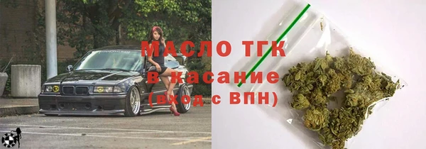 шишки Заводоуковск