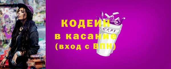 шишки Заводоуковск