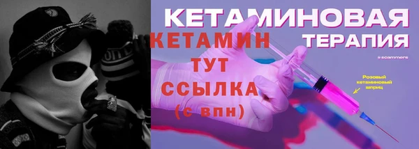 шишки Заводоуковск