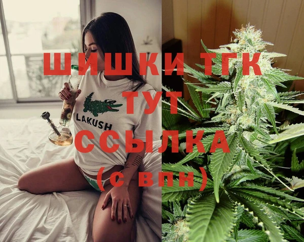 шишки Заводоуковск