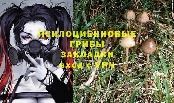 соль ск Заволжск