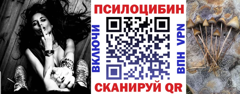 Галлюциногенные грибы Psilocybine cubensis цены наркотик Питкяранта